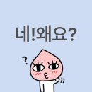 리얼라이즈엘 | 종강 전 일을 내가 어 떻 게 기억하냐고