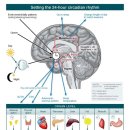 해독한의원 이미지