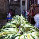 종혁농장 이미지