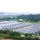 평화5태양광발전소 이미지