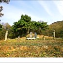 김여물 장군 묘 및 신도비 이미지