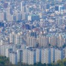 대전 6306 대전일보