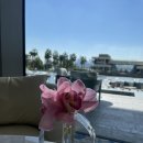 스테이 호리팜 | [두바이 호텔] 초호화 럭셔리 ’아틀란티스 더 로얄‘ Atlantis The Royal 호텔 후기 및 리뷰