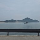 인천관광공사 | [공지] 굴업도 인천섬여행 (인천시 인천관광공사 산봉우리여행사 아키클래식)