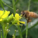 음악이흐르는숲 이미지