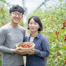 송재필 농장 네이버블로그