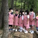 고달초등학교 Daum카페