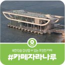 자라섬남도2(짚라인) | [카페 자라나루] 북한강 한가운데에 떠 있는 자라섬 남도 선착장 카페 (2026)