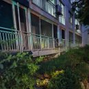 태양열 | 야외분위기 살리는 CK리빙 태양열 정원등 후기