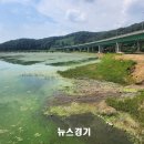 기흥호수공원 이미지