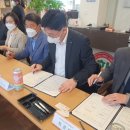 장미의거리7 이미지