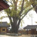 영광향교 이미지