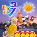 [일상] 9월ㅣ소소한 행복을 찾아서