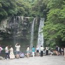 천지연폭포 이미지