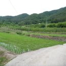 구산면517 이미지