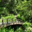 숲속쉼터 이미지