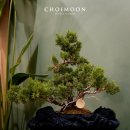 THE-ART(디-아트) 이미지