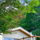 순디네 | 괴산 힐링 숙소: 괴산 에어비앤비 '순디네'