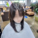 하시모토겐죠미장 이미지