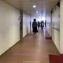 파리바게트퀸제누비아호