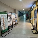 SR파크센텀 | 세종시 피부관리) 피부결 개선을 위 MTS+온다샷 관리 후기 피부결이 달라지는 과정 "셀로 에스테틱"