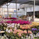 선유삼계탕 이미지