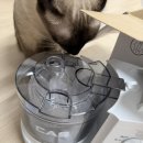 정수약국 | 고양이 콧물 재채기 관리 케어넵 카스 네뷸라이저 사용방법과 후기 장단점!