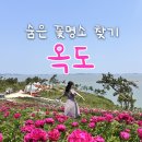 숨은 꽃명소 찾기 3탄: 전남 신안 옥도, 작약