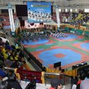 용인대 대한태권도 이미지