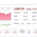 (주)현대케미칼 이미지