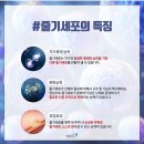 라벨라화장품사업 왜 선택을 하는걸까?