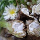 원농장1 이미지