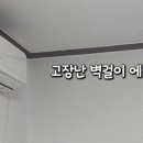 부산전자종합상가 이미지