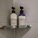 지에스25  스위트가을점 | [광주]남친몬 회사찬스✨ 35평 디럭스룸 대궐체험! 곤지암리조트 E빌리지 숲뷰 찐후기🌲💚