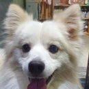 서림동주민센터 이미지