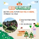 푸루미농장 네이버블로그