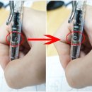 라미 사파리 쿠루토가 인사이드 후기와 특징