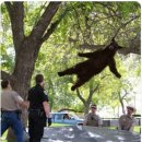 UR(의정부시)-[추동로]-하-35 | 의정부 바싹함이 미쳐버린 배달 맛집 닭껍질 껍닭 의정부점