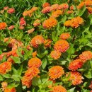 순천만힐링 이미지