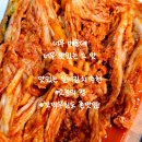 벌교택배 | 소농의 정 맛있게 매운 실비김치, 벌교 새꼬막무침 추천 후기
