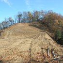 군자 사슴농원 이미지