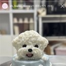 오해피댕