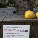 아름다운호야네 | 서귀포 애견동반펜션 700평 정원 아름다운호야네