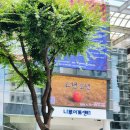 뮤지컬 이상한 엄마 | 특별한 서울 나들이 뮤지컬 이상한 과자가게 전천당4 관람 후기