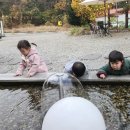 행복가득 달님반❤️🍈부모산 ⛰️등산로를 걸어요 & 칸타타 오르프🍈 이미지