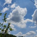 뭉개구름 이미지