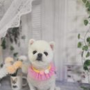 아보네 멍빌리지 이미지