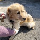 무주읍180 이미지