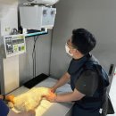 도청동물병원 노컷뉴스