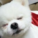 달이뜨는밤